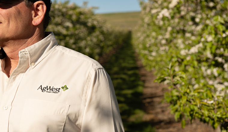 Man enjoying walking through field