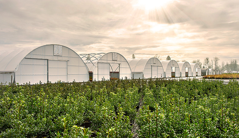 Nursery/Greenhouse