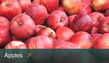 A pile of red apples