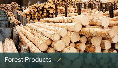 Stacks of logs at a mill
