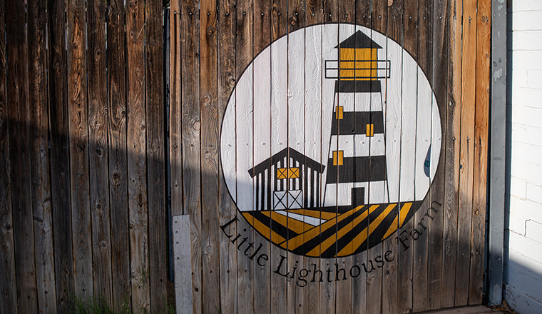 Little Lighthouse logo