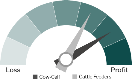 Cattle Profitability Dial